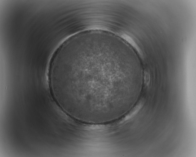 X0000089691068200707051620