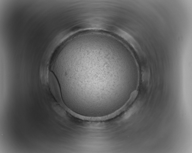 X0000089691069200707051620