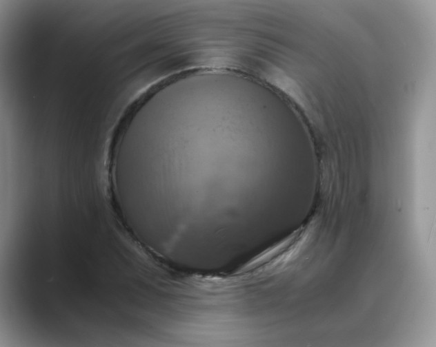 X0000089691071200707051620