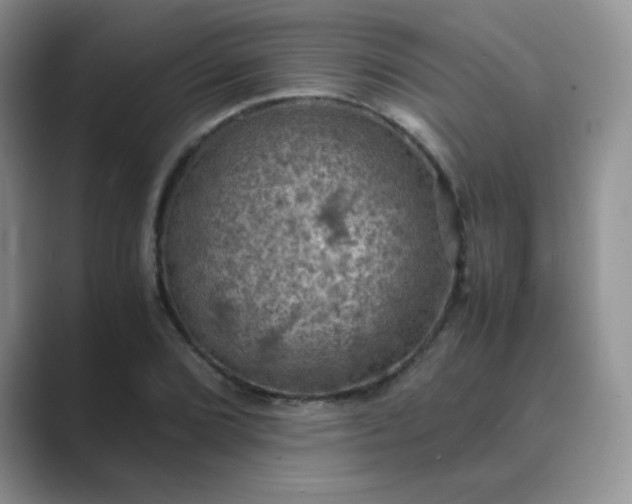 X0000089691072200707051620