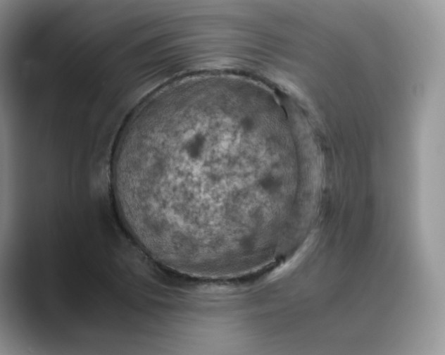 X0000089691073200707051620
