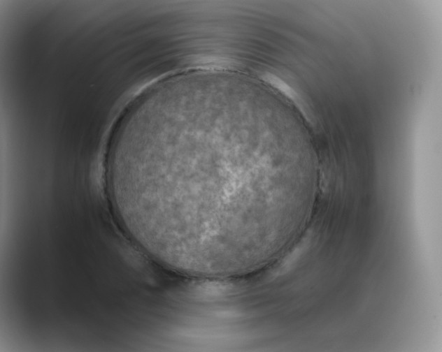 X0000089691074200707051620