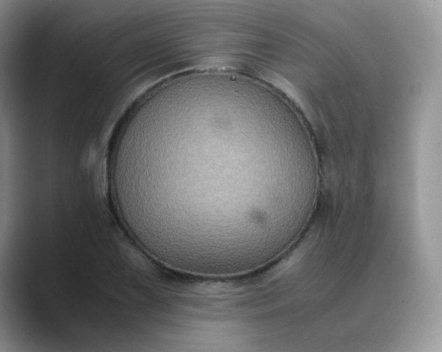 X0000089691075200707051620