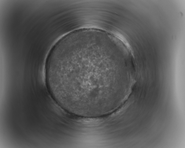 X0000089691076200707051620