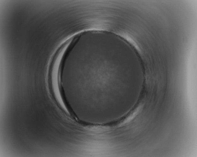 X0000089691077200707051620