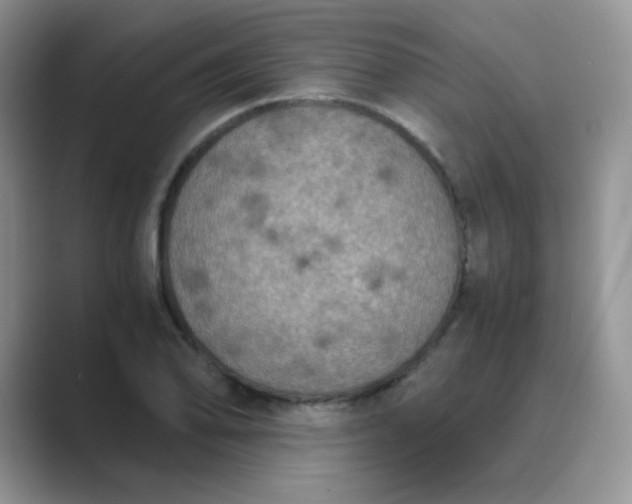 X0000089691078200707051620