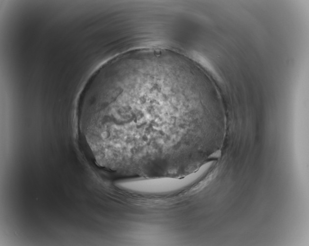 X0000089691079200707051620