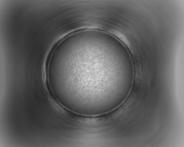 X0000089691080200707051620