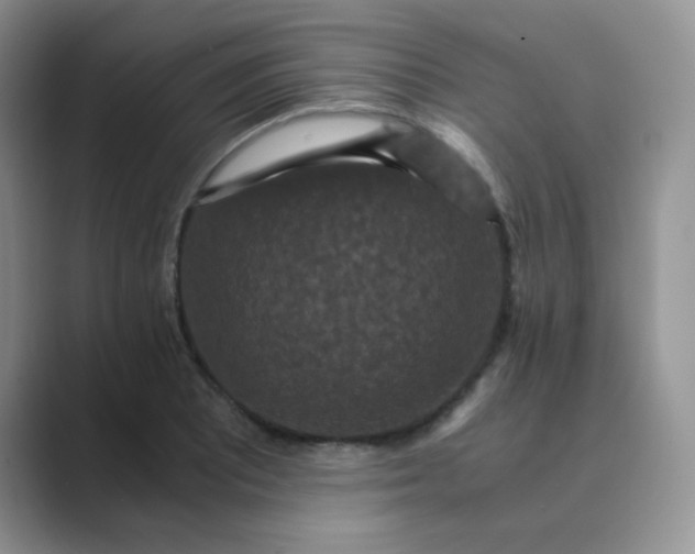 X0000089691081200707051620