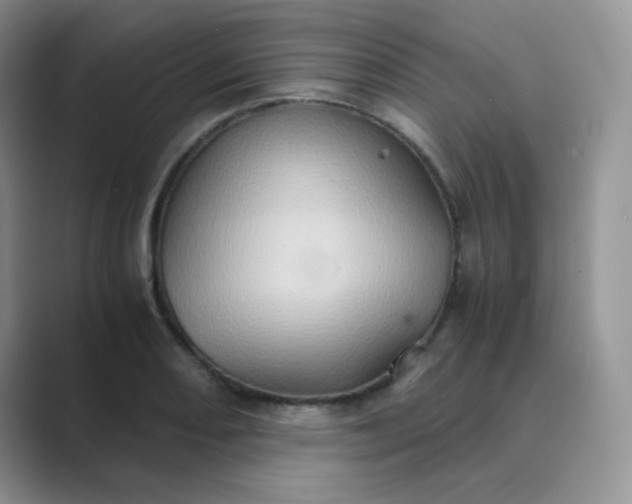 X0000089691082200707051620