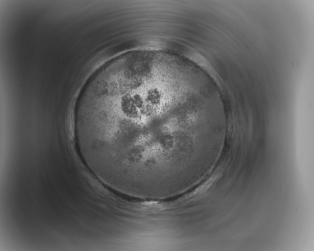 X0000089691083200707051620