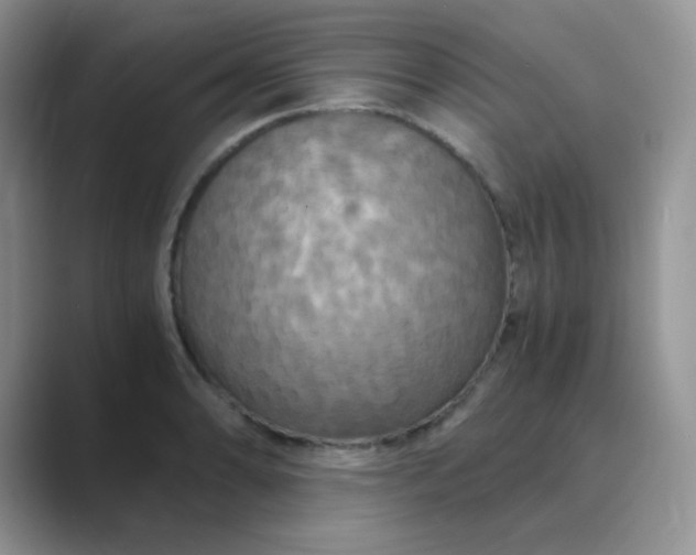 X0000089691086200707051620