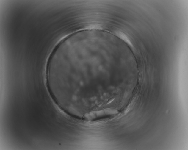 X0000089691087200707051620