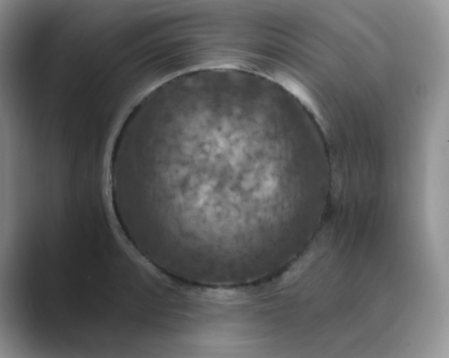 X0000089691088200707051620