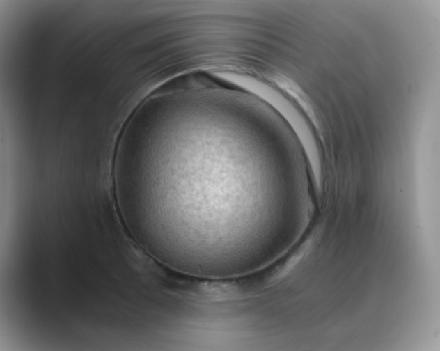 X0000089691089200707051620