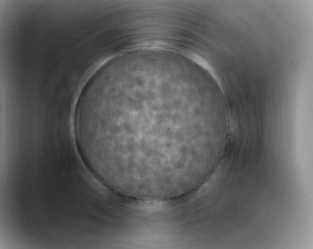 X0000089691090200707051620