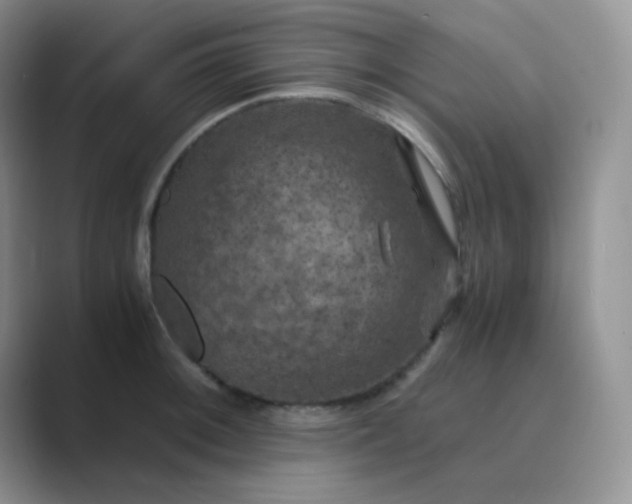 X0000089691092200707051620