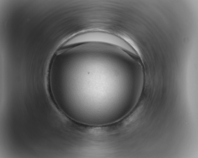 X0000089691093200707051620