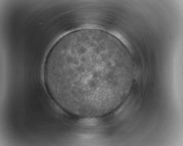 X0000089691094200707051620