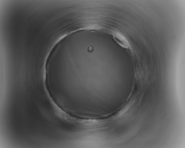 X0000089691095200707051620