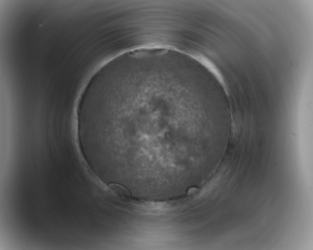 X0000089691096200707051620