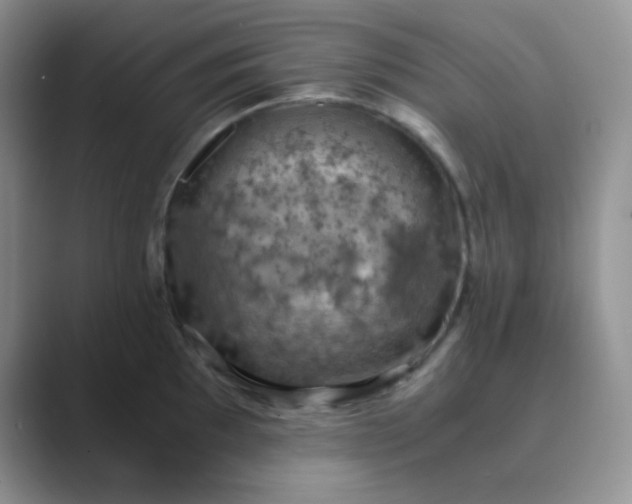 X0000089691097200707051620