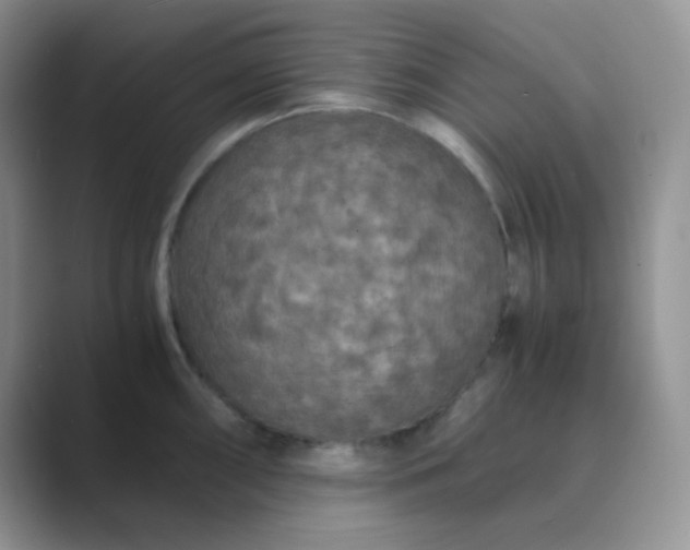 X0000089691098200707051620