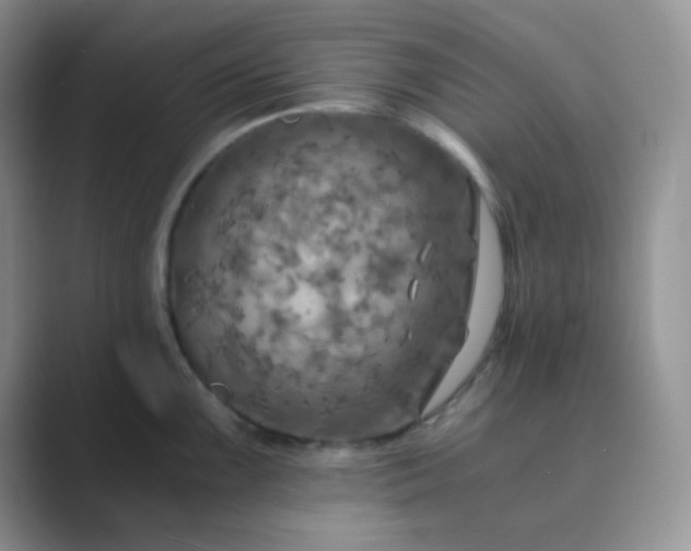 X0000089691099200707051620