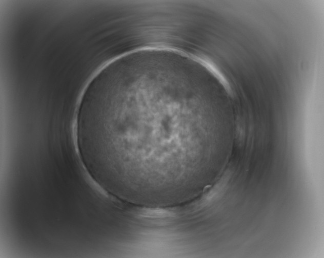 X0000089691100200707051620