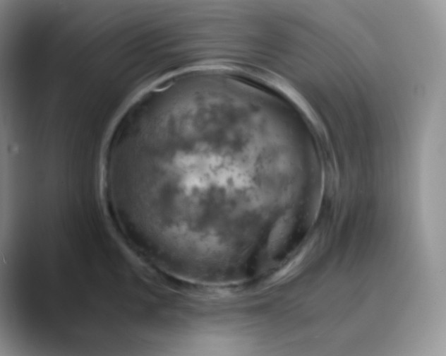 X0000089691101200707051620