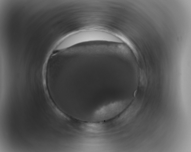 X0000089691102200707051620