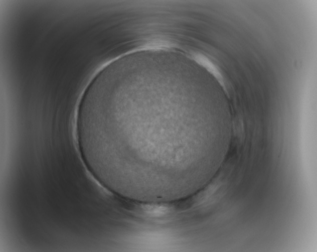 X0000089691103200707051620