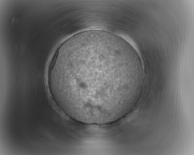 X0000089691104200707051620