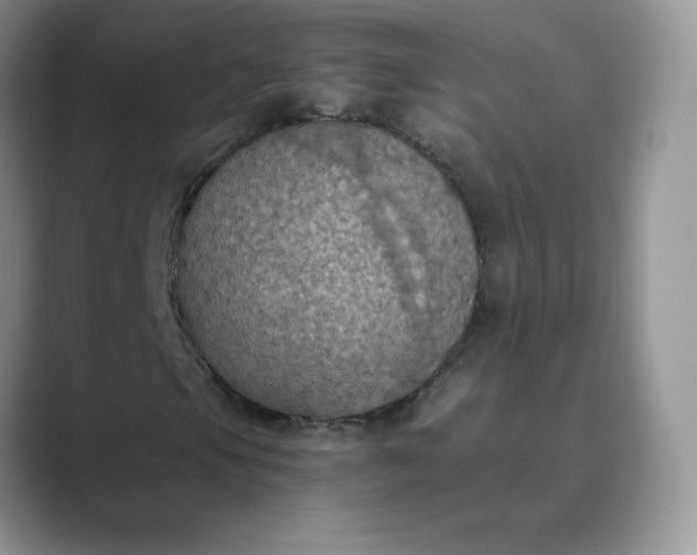 X0000089691105200707051620