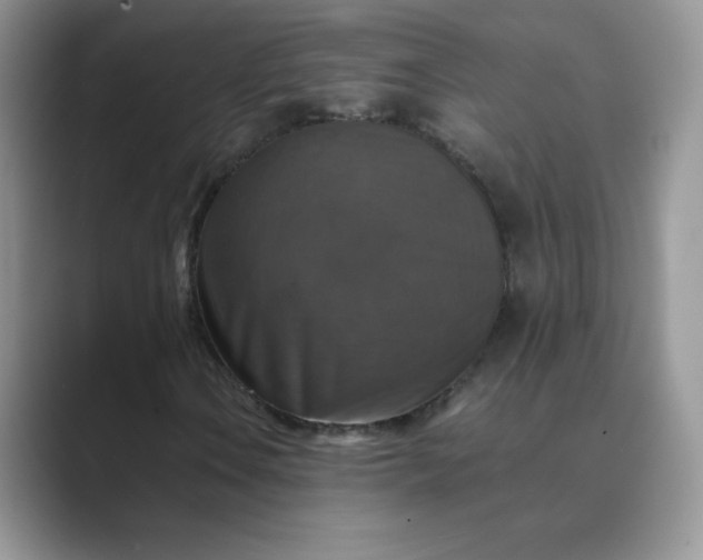 X0000089691106200707051620