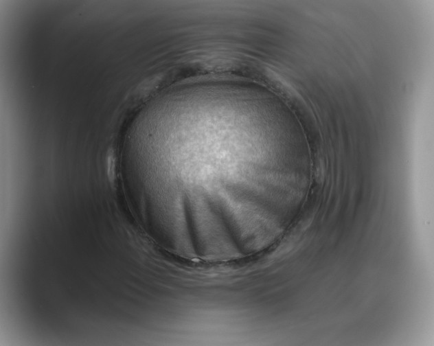 X0000089691108200707051620