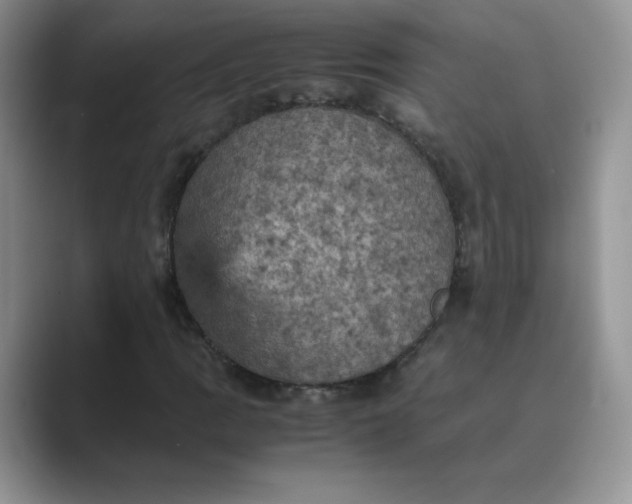 X0000089691109200707051620