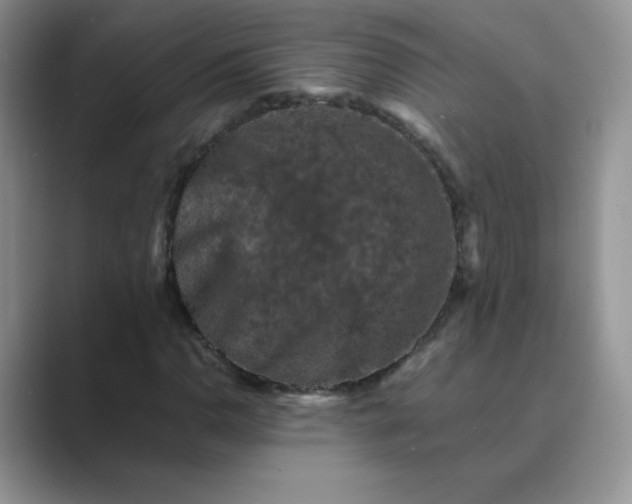 X0000089691110200707051620