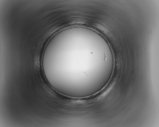 X0000089691113200707051620