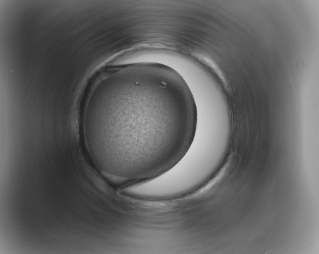 X0000089691114200707051620