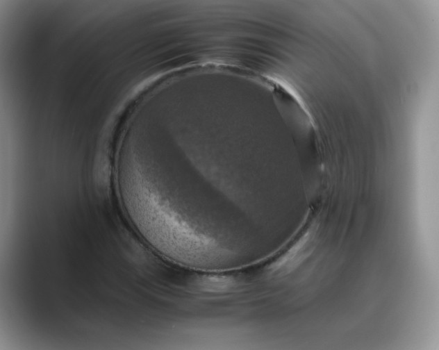 X0000089691115200707051620