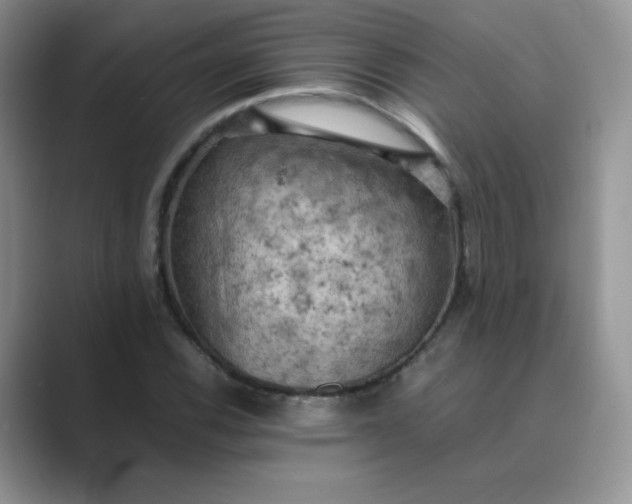 X0000089691116200707051620