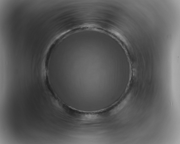 X0000089691117200707051620