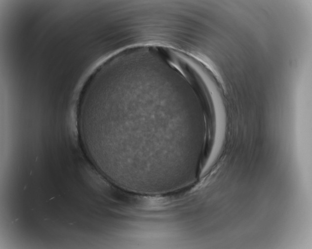 X0000089691120200707051620