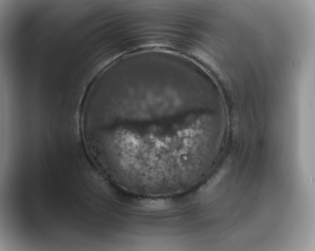 X0000089691121200707051620