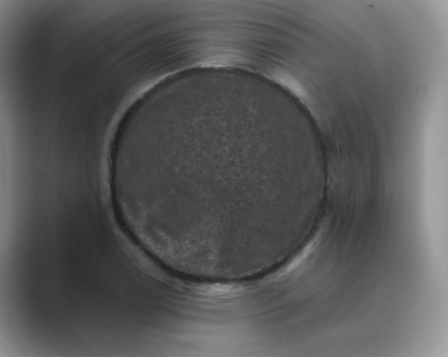 X0000089691122200707051620