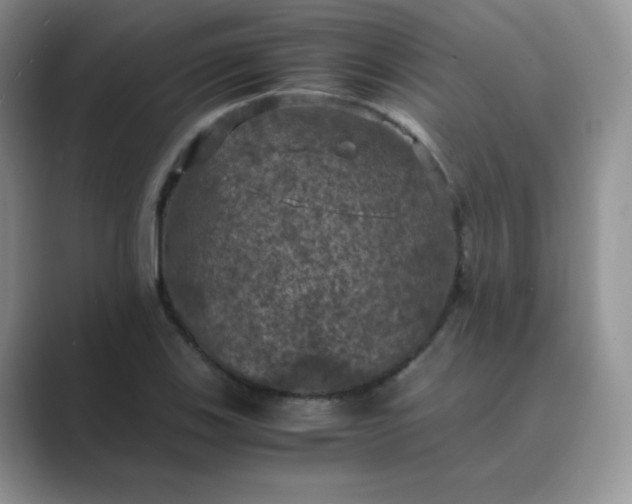 X0000089691123200707051620