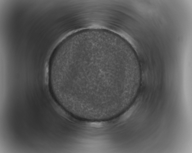 X0000089691126200707051620