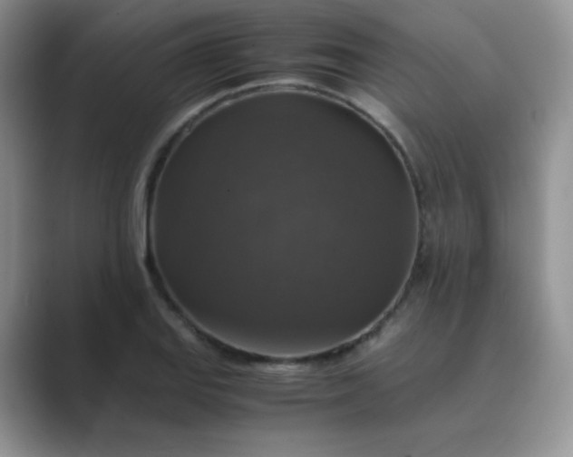 X0000089691127200707051620