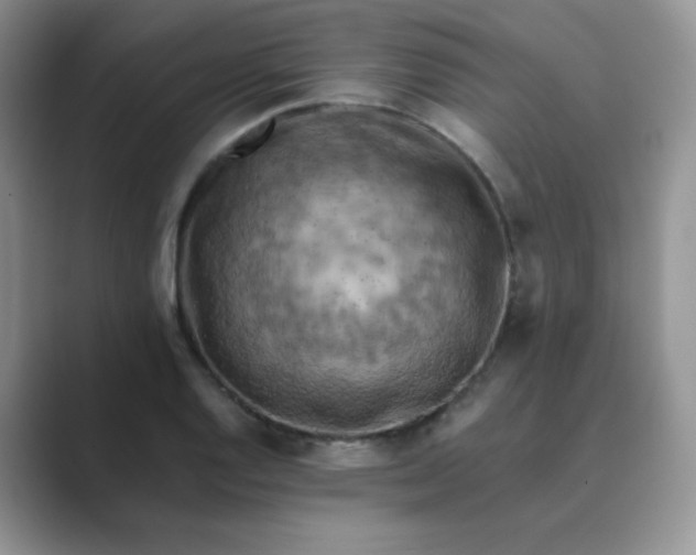 X0000089691128200707051620